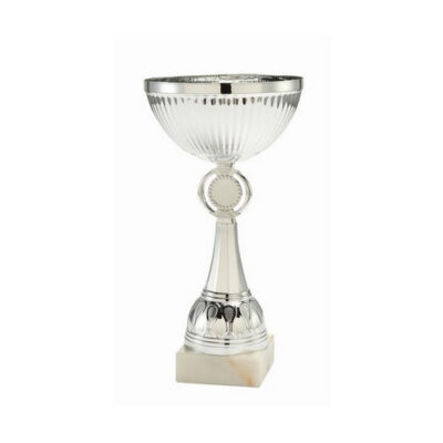 Coupe argent 26 cm