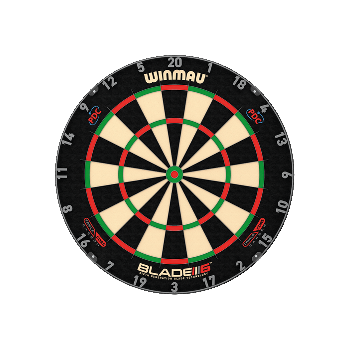 Kit pro Winmau (Cible pro, éclairage, tapis, contour) – Image 4