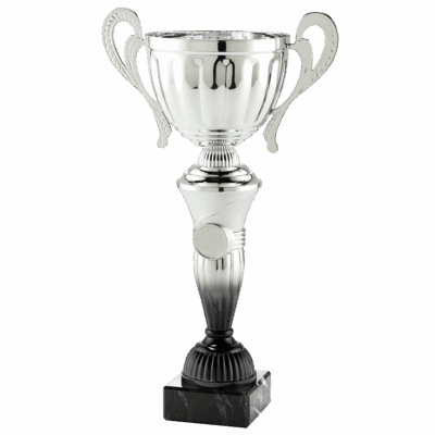 Coupe Argent 28cm (MT.151.16.A)