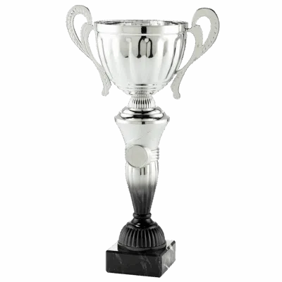 Coupe Argent 28cm (MT.151.16.A)
