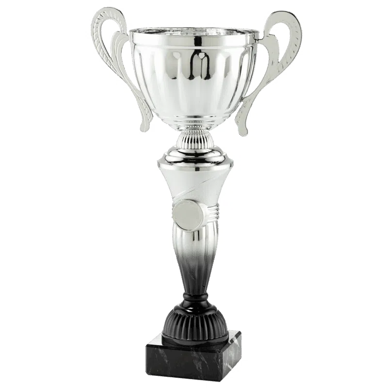 Coupe Argent 28cm (MT.151.16.A)